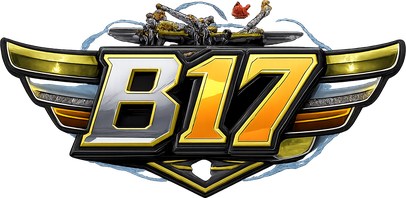 b17